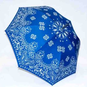 Paraguas Ezpeleta azul